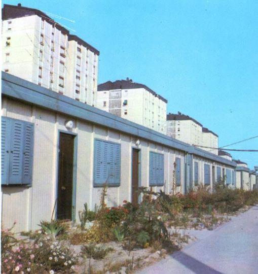Sankys